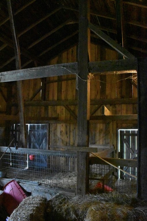 Picture 5