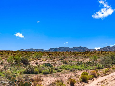 Land, Congress, AZ
