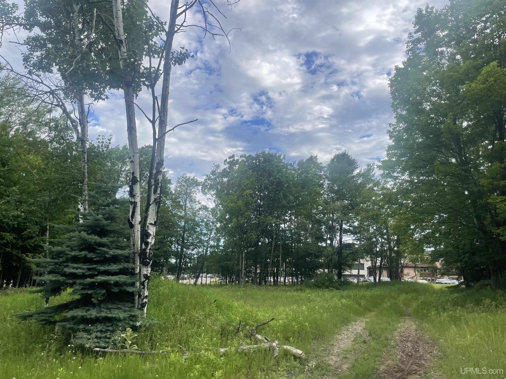 Picture 22