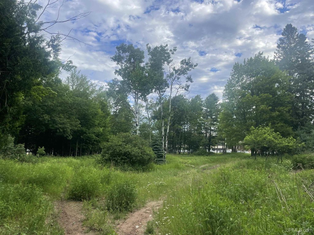 Picture 21