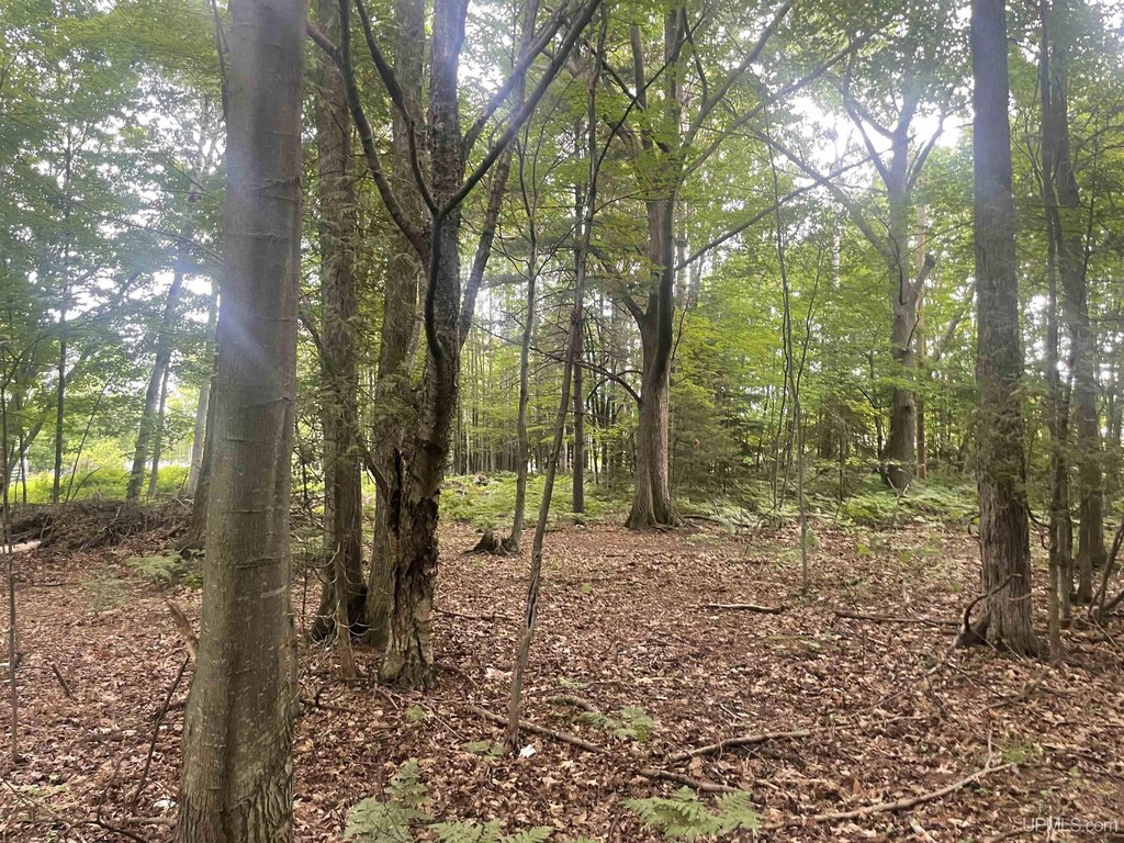 Picture 29