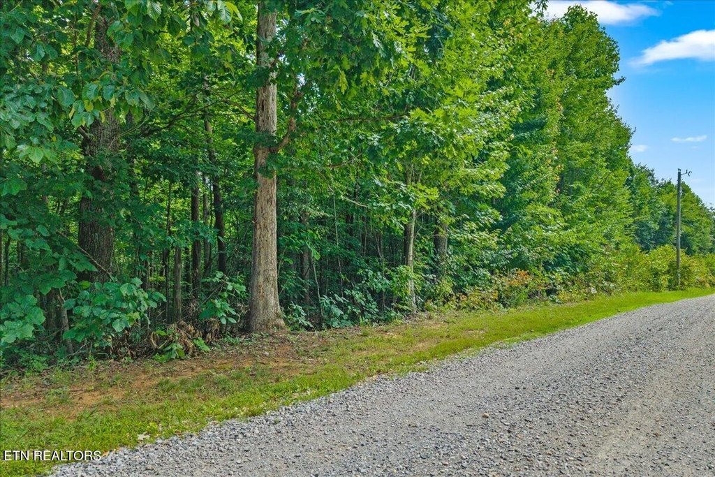 Picture 9