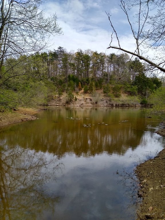 Picture 8