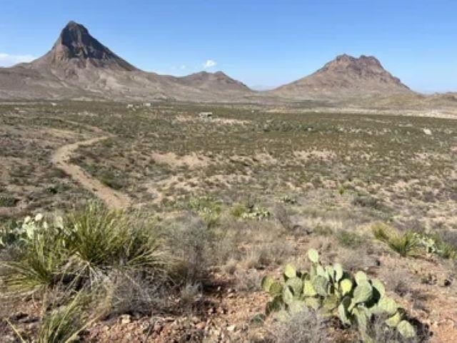 Tranquil 40 Acres in Terlingua