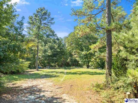 Land, Darlington, SC