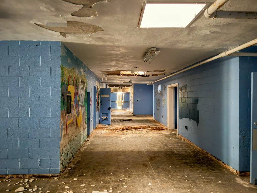 Picture 43