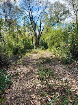 Residential Land in Palestine, TX