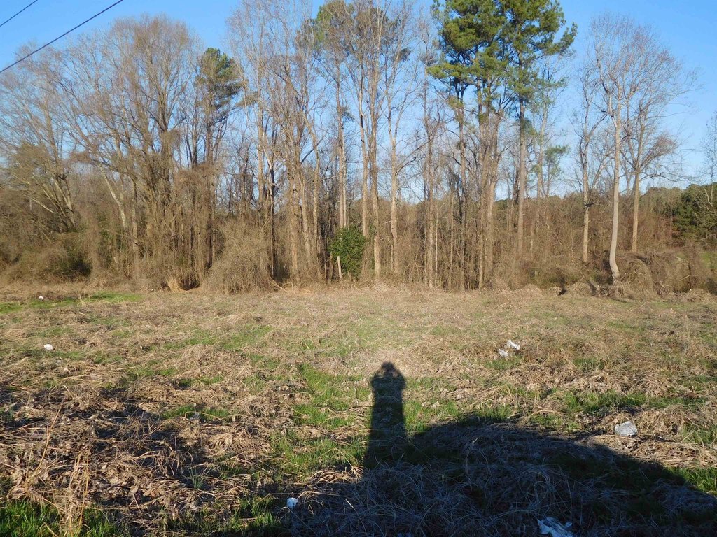 Picture 4