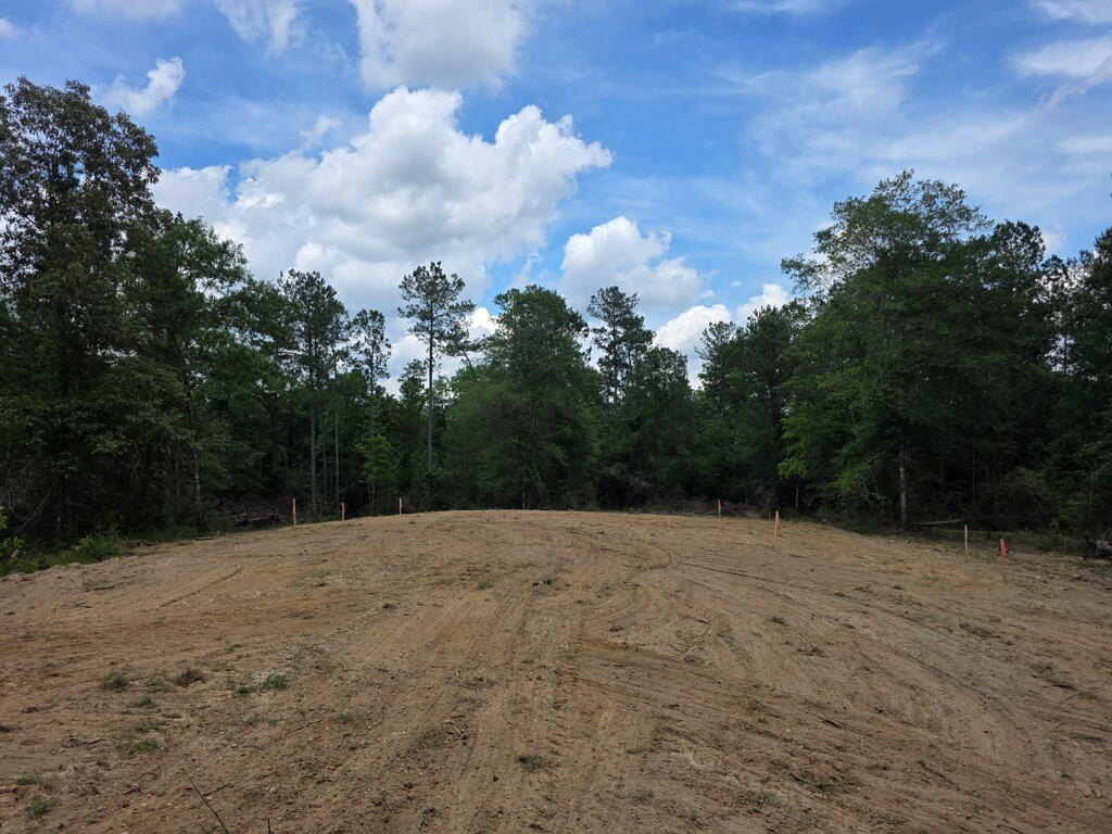 Picture 4