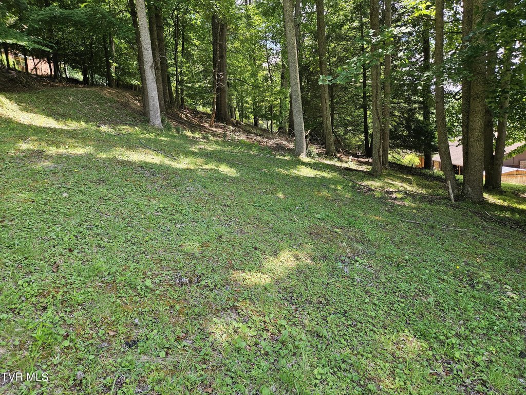 Picture 4