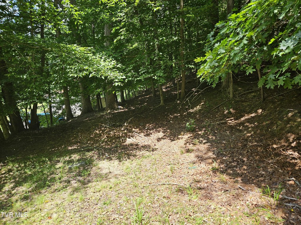 Picture 3