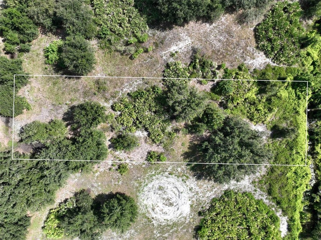 Picture 11