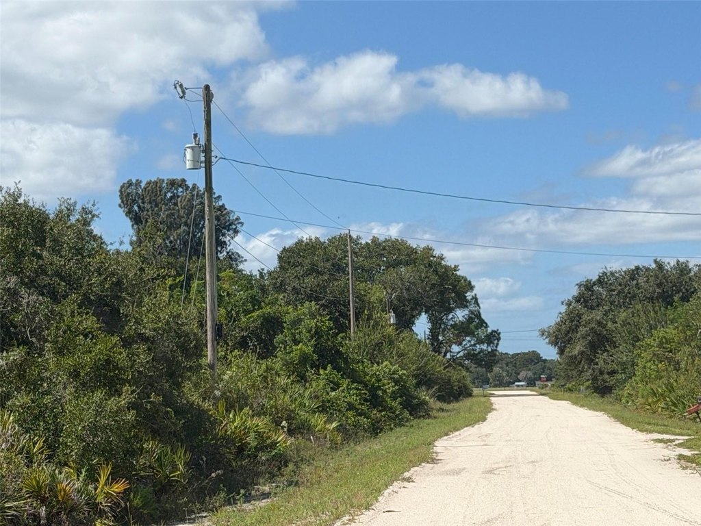 Picture 21