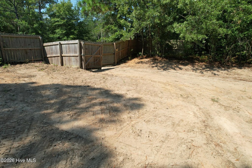 Picture 8