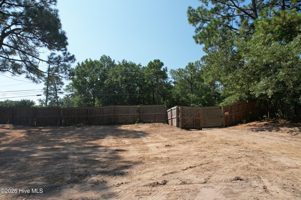 Picture 4