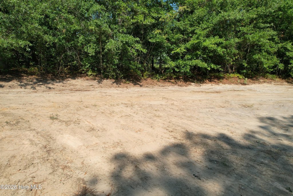 Picture 12