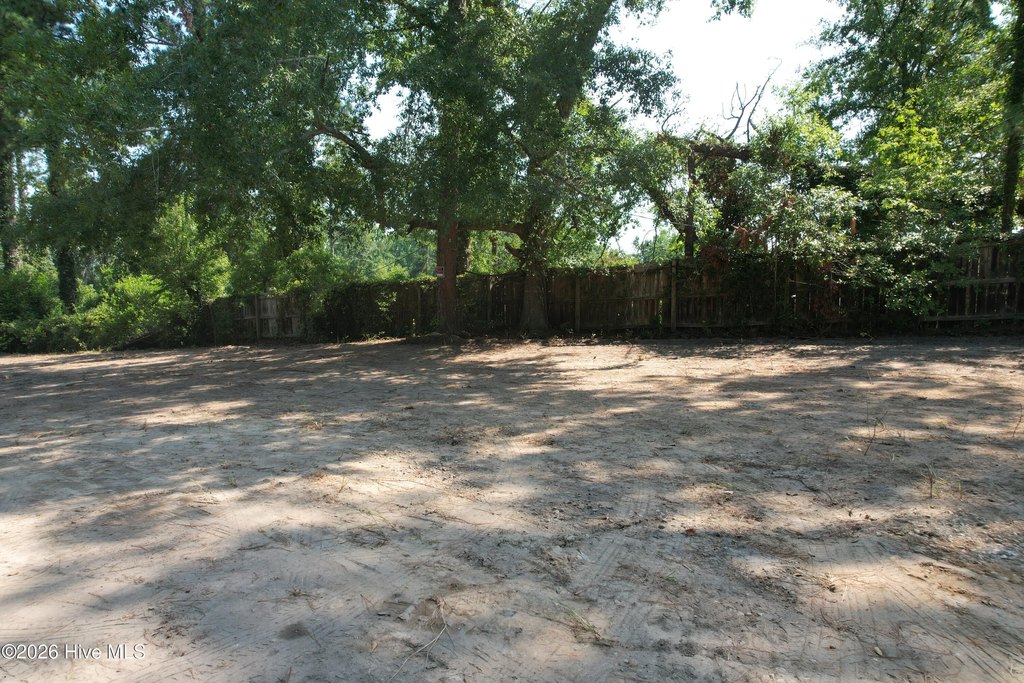 Picture 9