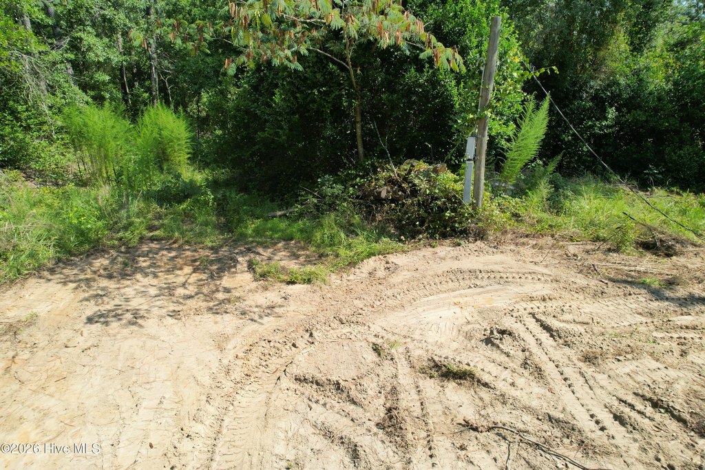 Picture 11