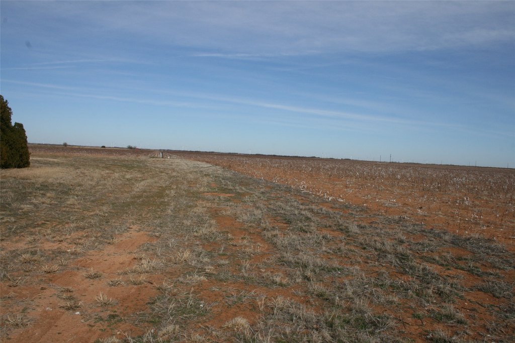 Picture 18