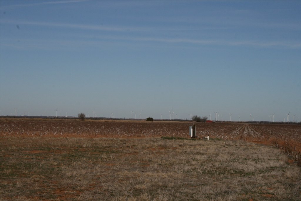 Picture 21