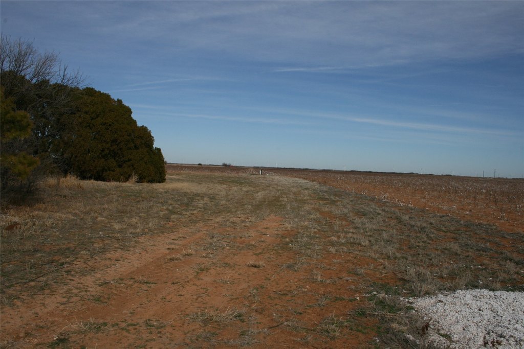 Picture 17