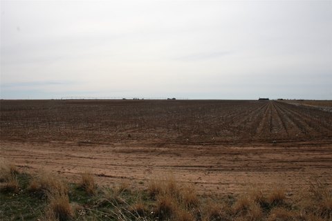 Irrigated Farmland with Pivot System