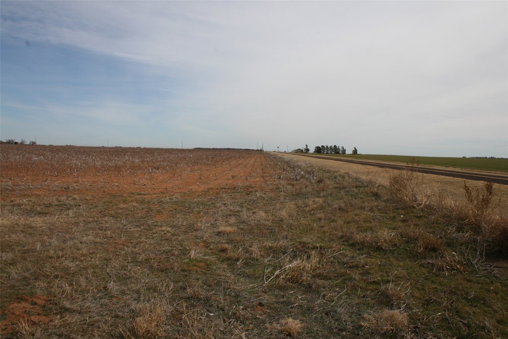 Picture 15