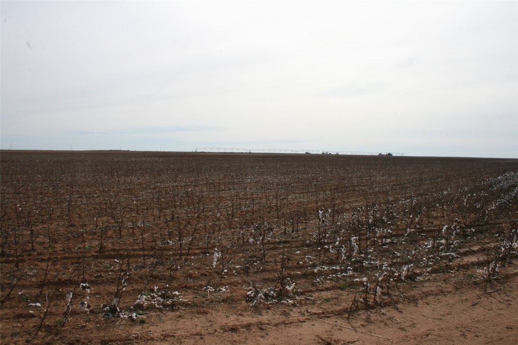 Picture 12