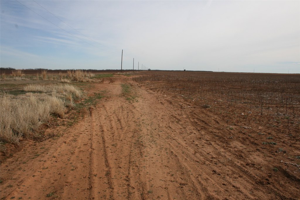 Picture 10