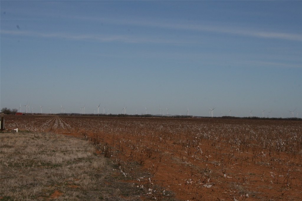 Picture 22