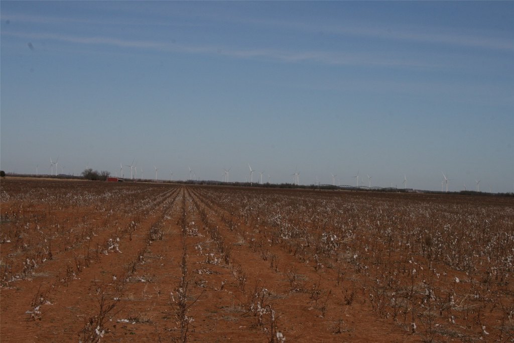 Picture 23