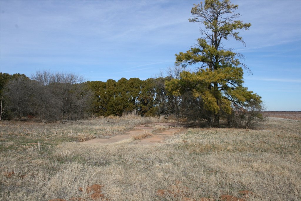 Picture 14