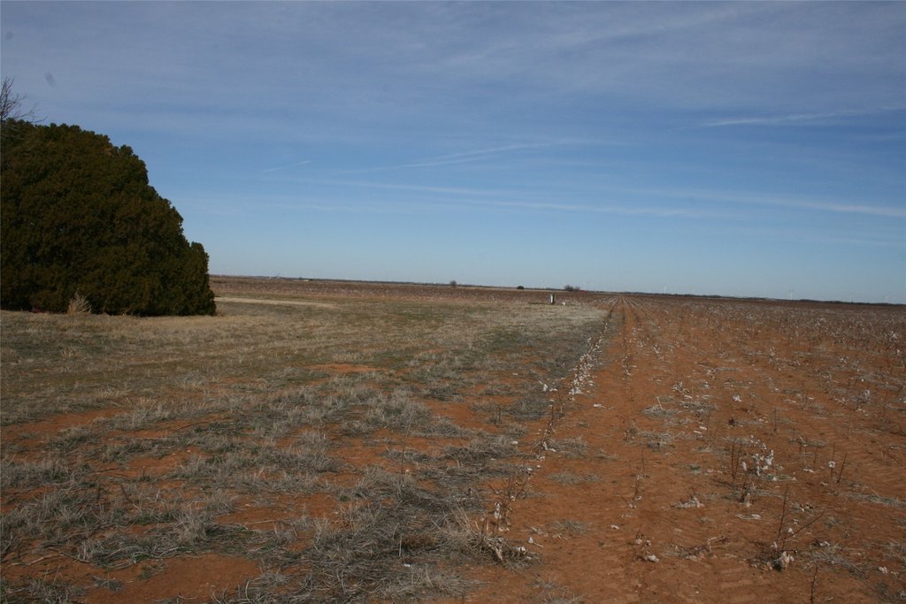 Picture 20