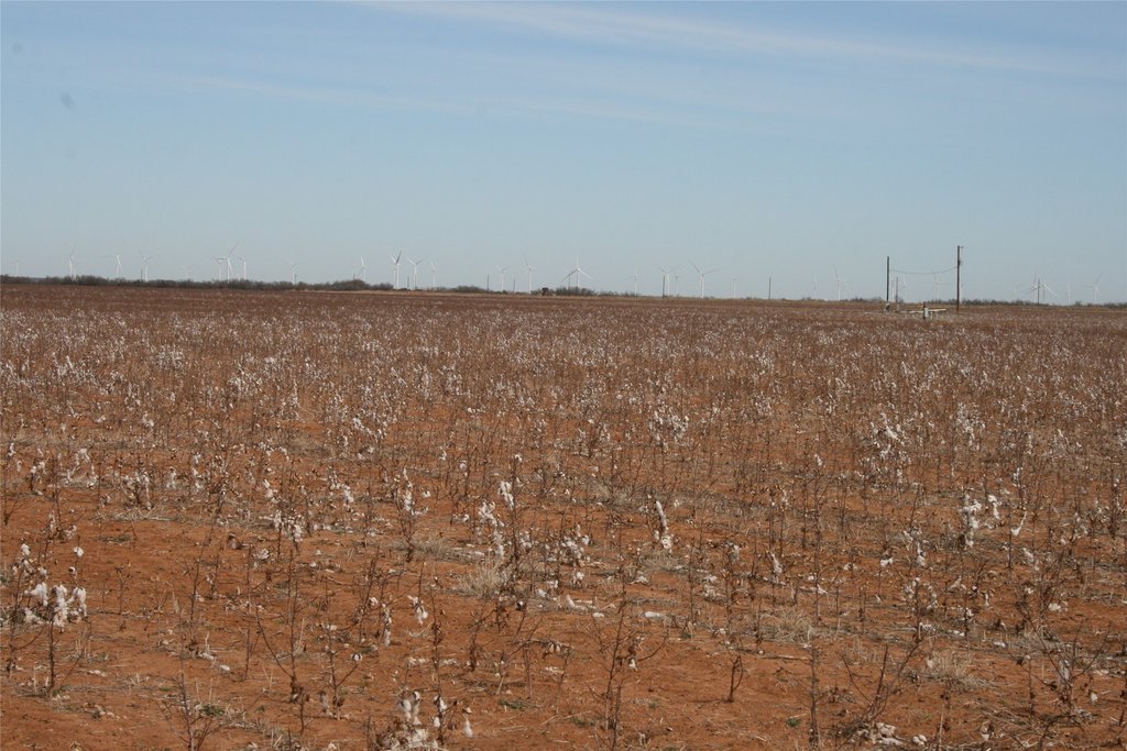 Picture 24
