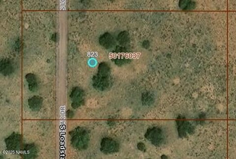 Land in Williams, Arizona