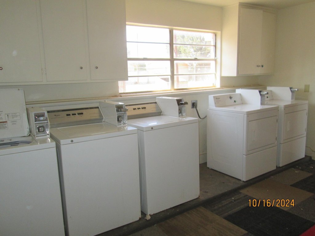Picture 8
