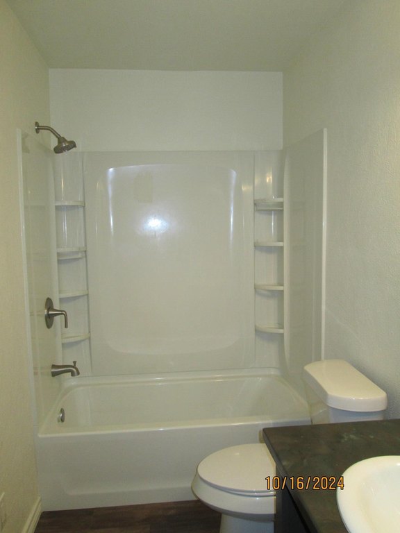 Picture 12