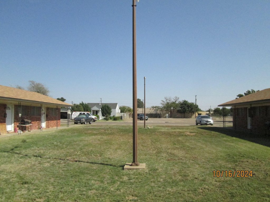 Picture 5