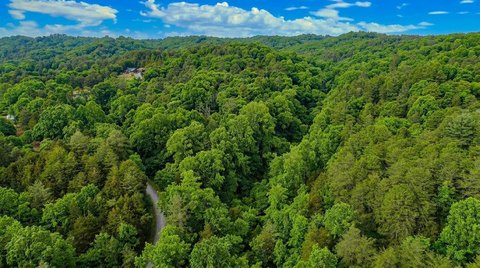 7-Acre Wooded Retreat Land