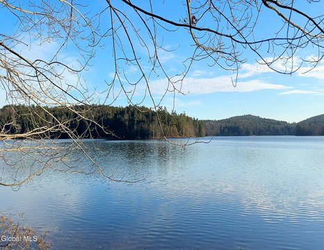 Trout Lake Shore Building Site