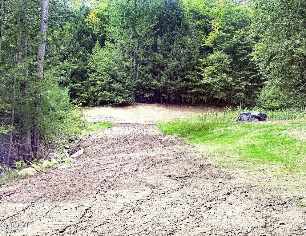 Picture 9