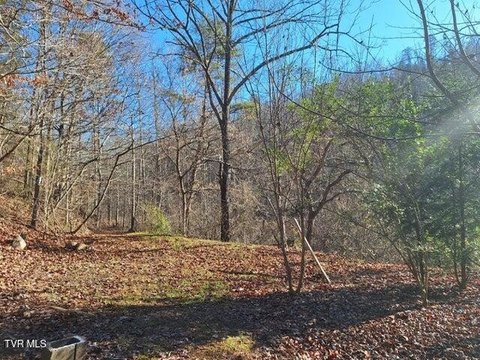 52 Acres of Wooded Land