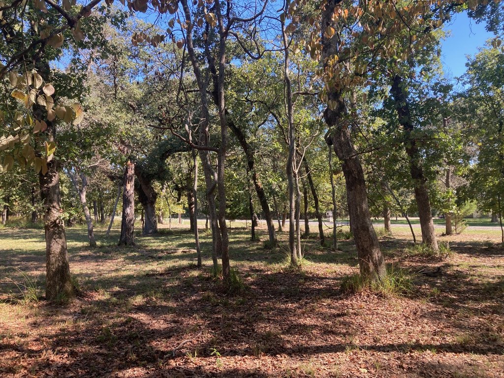 Picture 36