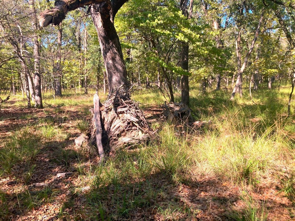 Picture 14