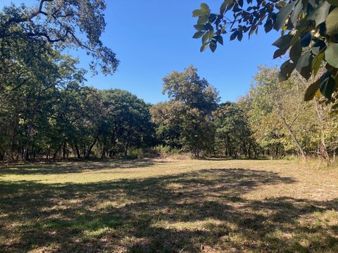 Land, Larue, TX