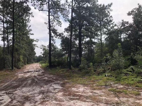 Land, MOUNT DORA, FL