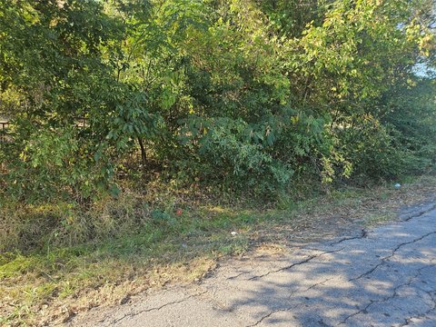 Residential Lot Near Fairgrounds