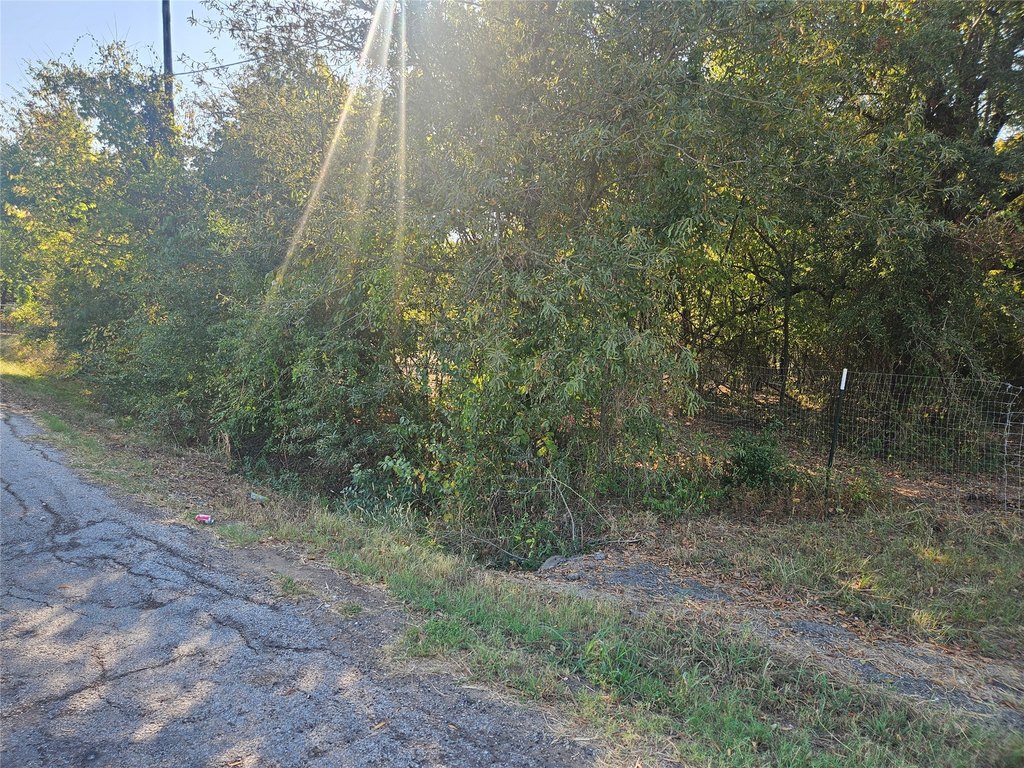 Picture 2
