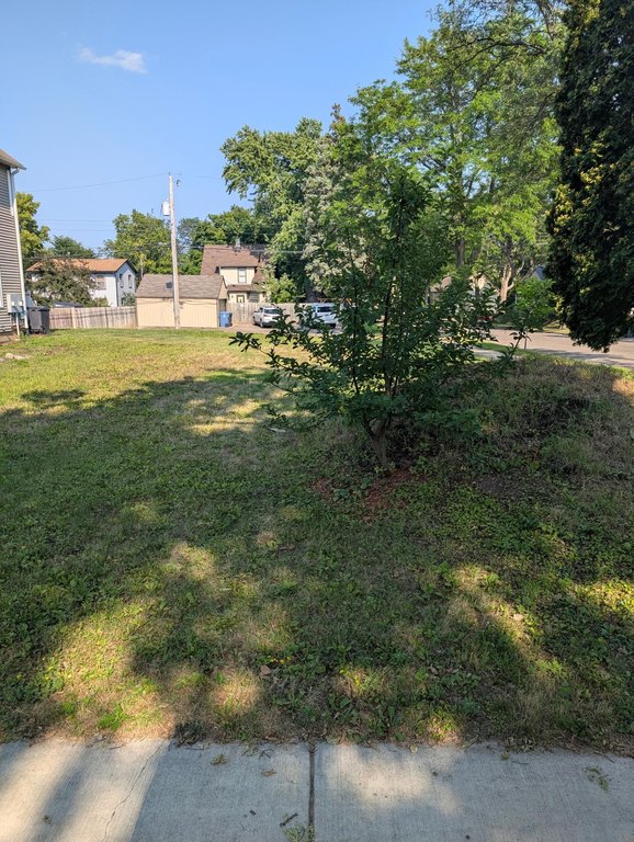 Picture 28