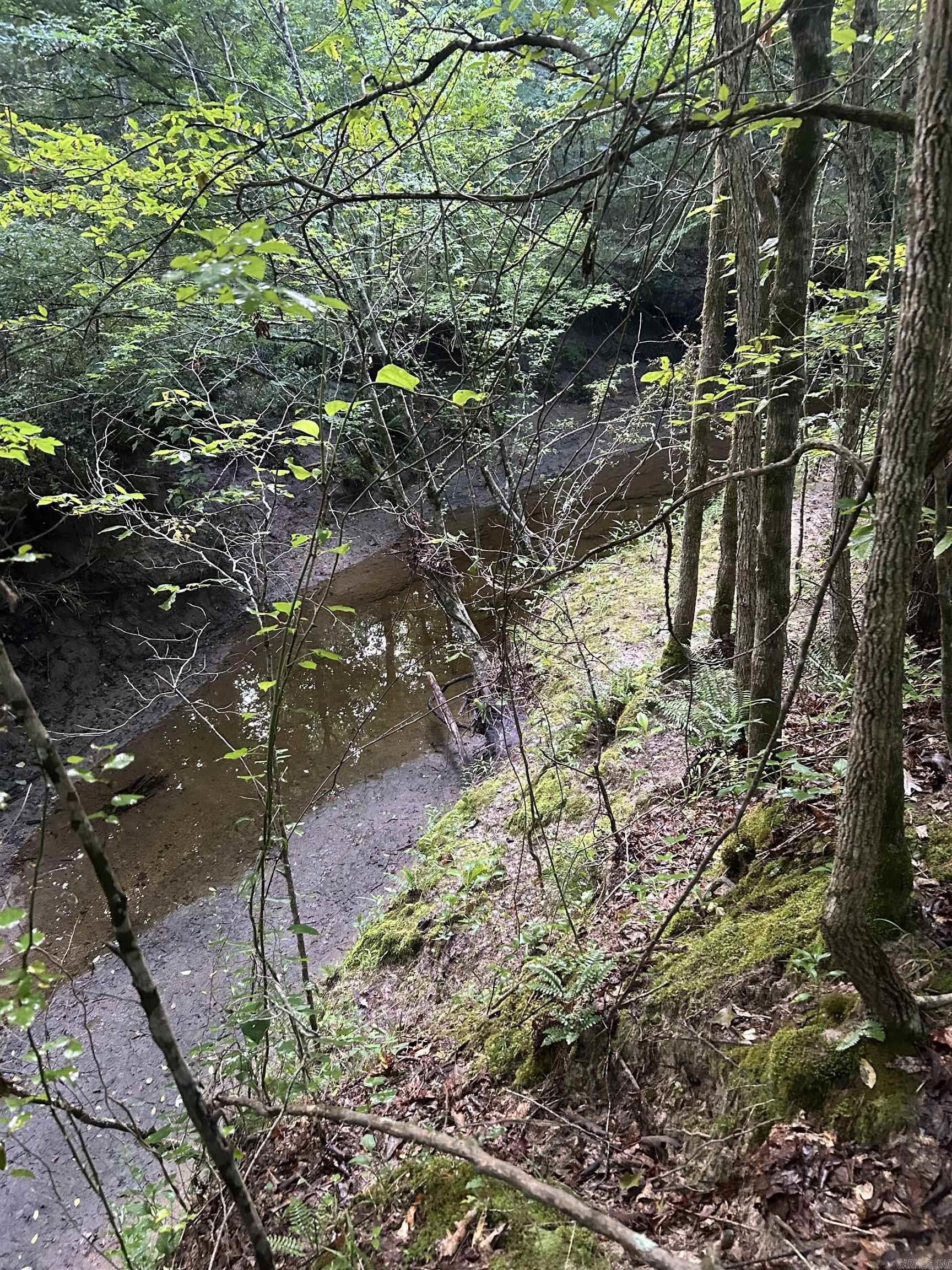 60 Acres of Timberland